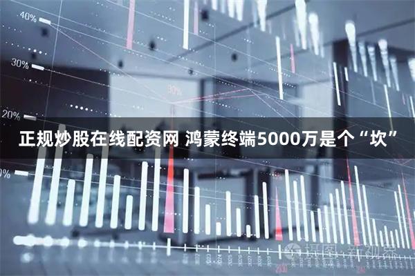 正规炒股在线配资网 鸿蒙终端5000万是个“坎”