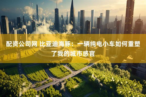 配资公司网 比亚迪海豚：一辆纯电小车如何重塑了我的城市感官